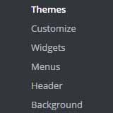 customizer